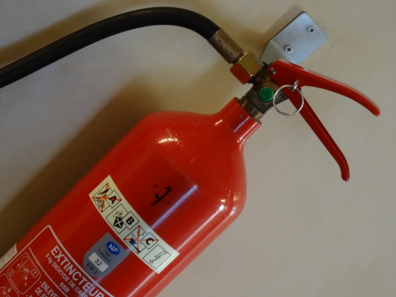 F oiseau rouge 1.JPG