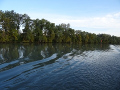 DSC01857.JPG