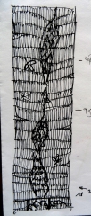 DSC08957.jpg