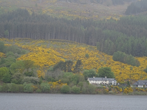DSC03306.JPG