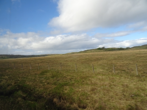 DSC03220.JPG