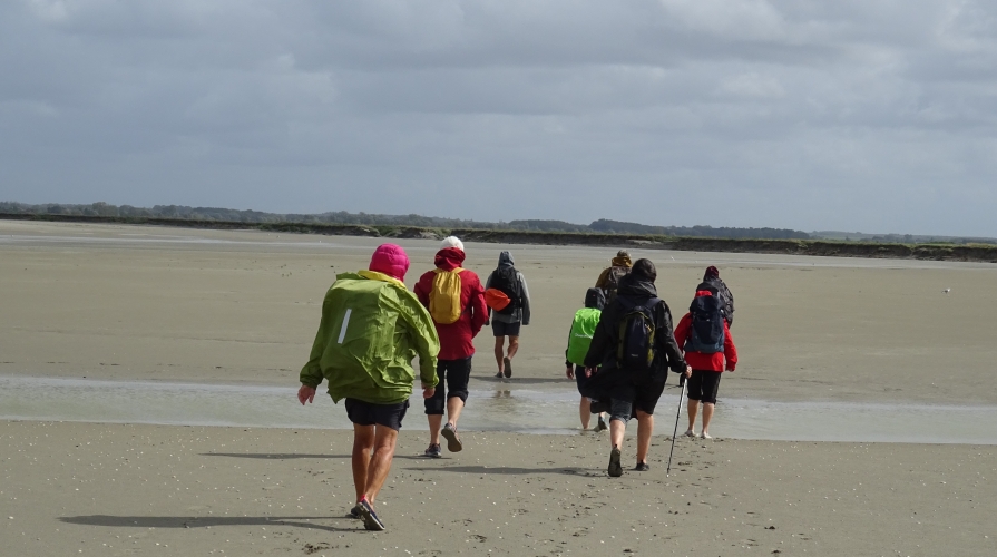 La Baie de Somme (17).JPG