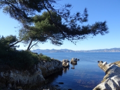 Saint Honnorat (9).JPG