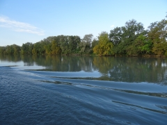 DSC01856.JPG